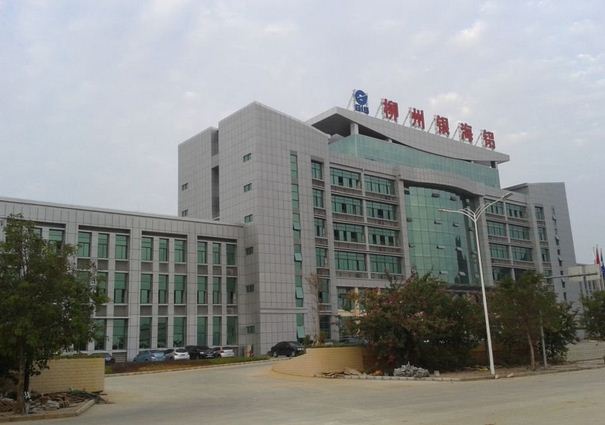 广西柳州银海铝业股份有限公司