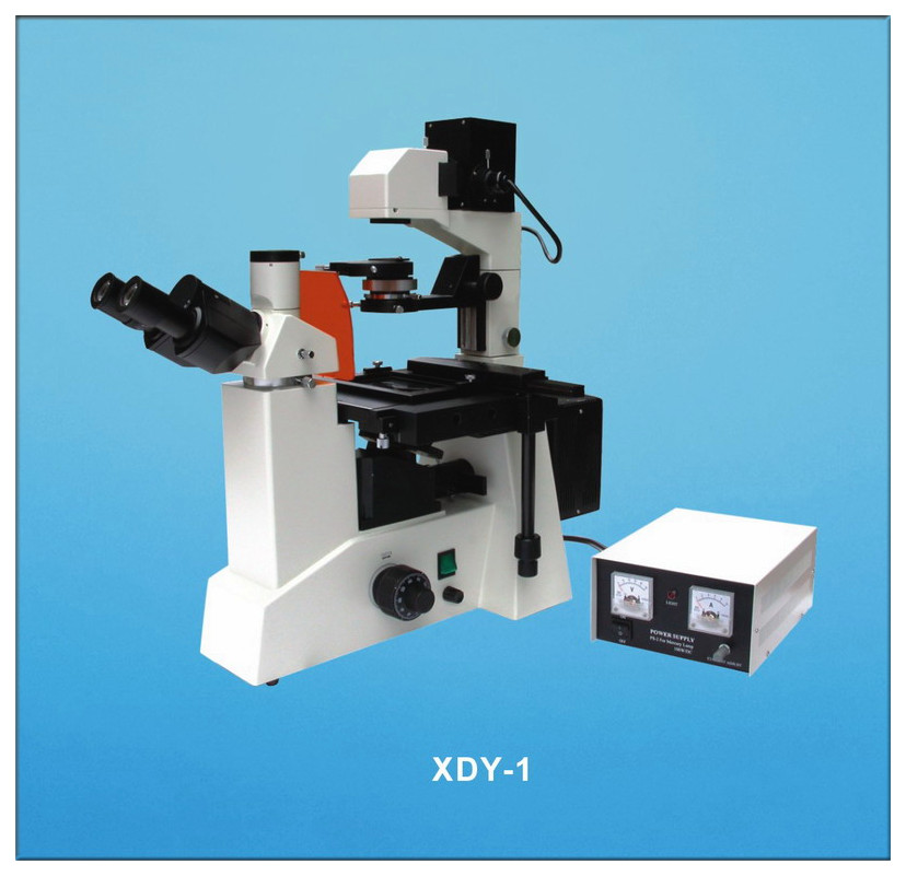 XDY-1倒置荧光显微镜